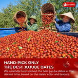 Lavendium, Premium 25oz Dried Jujube Dates, 100% Natural & Pure Red Dates, No Additives or Preservatives, Non-GMO, Gluten-Free, Plant-Based & Vegan