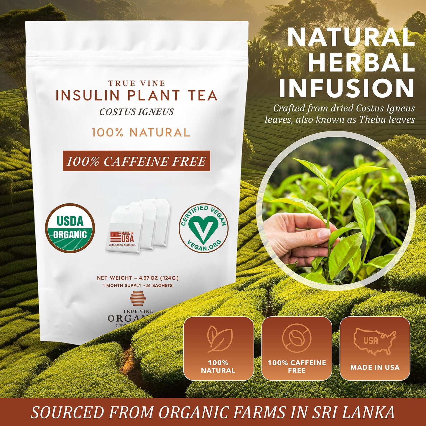 True Vine Insulin Plant Tea (USDA Organic) - Herbal Organic Tea Bags for Blood Sugar Support, Digestive Wellness & Metabolic Balance - 100% Natural