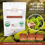True Vine Insulin Plant Tea (USDA Organic) - Herbal Organic Tea Bags for Blood Sugar Support, Digestive Wellness & Metabolic Balance - 100% Natural