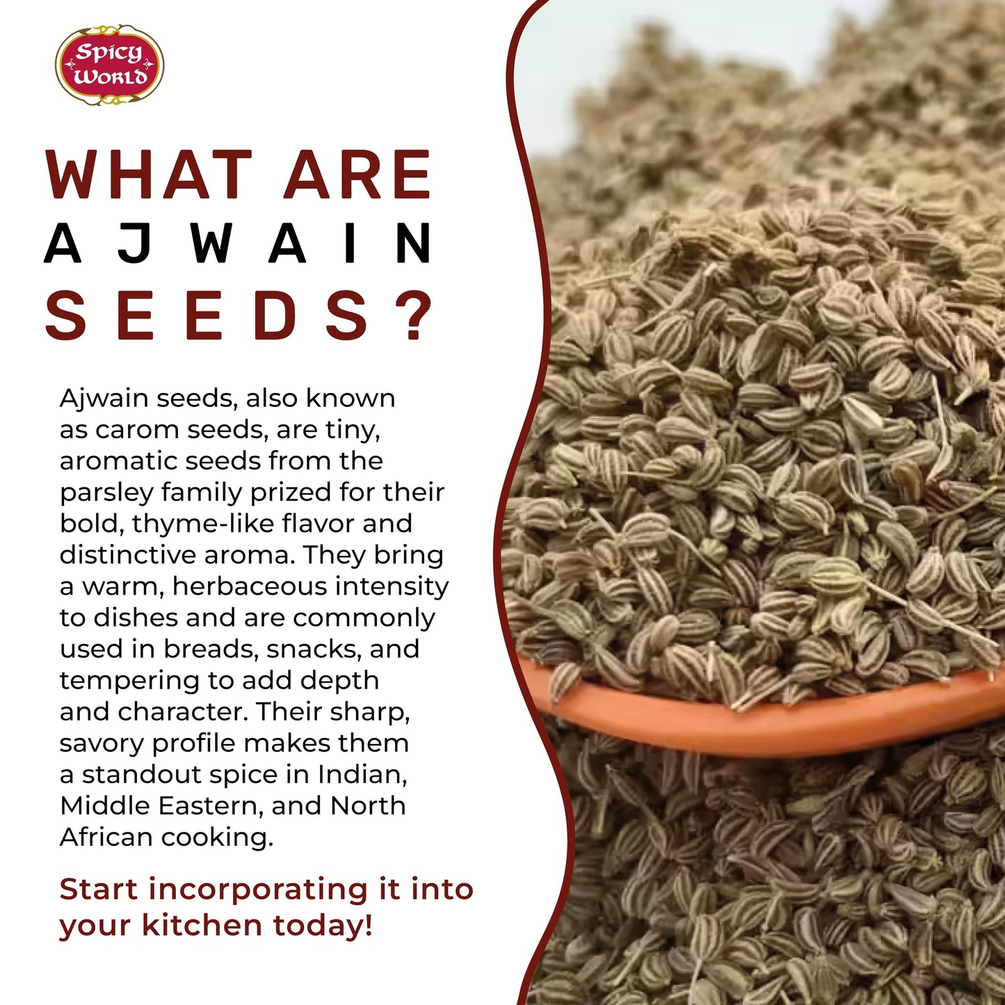 Spicy World Ajwain Seeds 5 LB Bulk Jar - Carom Seeds, Bishops, 100% Natural, Premium Quality - Great for Tea, Breads, Spice Rubs, Digestion and More