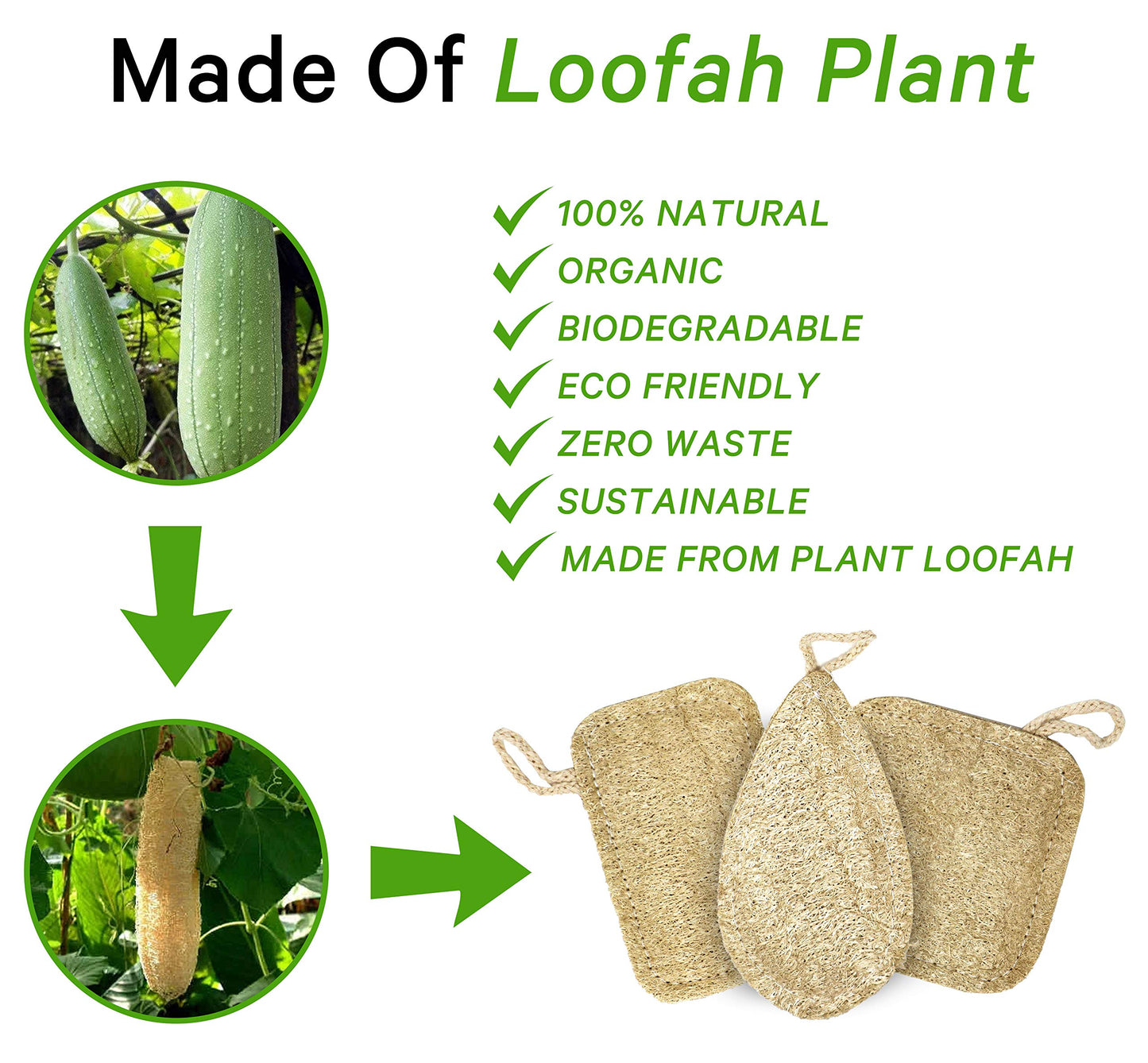 EMARA All Natural Kitchen Sponge Set of 3, Zero Waste Loufa, Organic, Vegan, 100% Biodegradable and Compostable, Durable, Reusable, Eco-Friendly