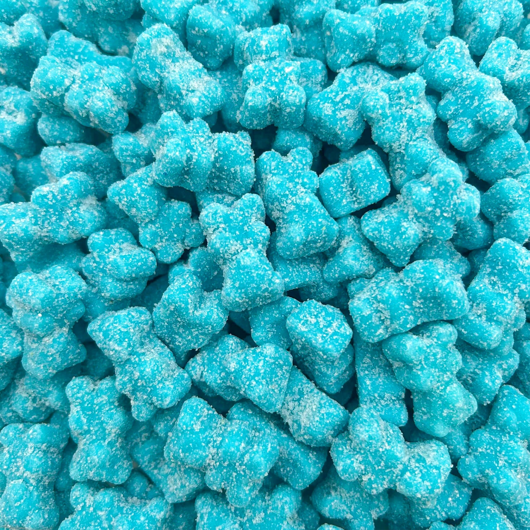 Sour Bears Gummy Candy | 1 Lb Bag | Blue Raspberry Jelly Candies | Gelatin Free Gummi Bears | Neon Blue Gummies for Gender Reveal, Baby Showers