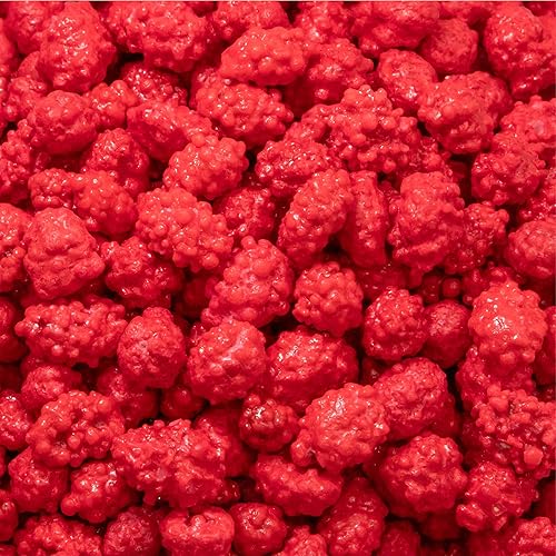 French Burnt Peanuts - 2 Pound Bulk Pack - Old Fashioned Candy Coated Peanuts - Red Nostalgic Candy for Buffets, Snacking, and Gifting - Crunchy Retro