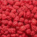 French Burnt Peanuts - 2 Pound Bulk Pack - Old Fashioned Candy Coated Peanuts - Red Nostalgic Candy for Buffets, Snacking, and Gifting - Crunchy Retro