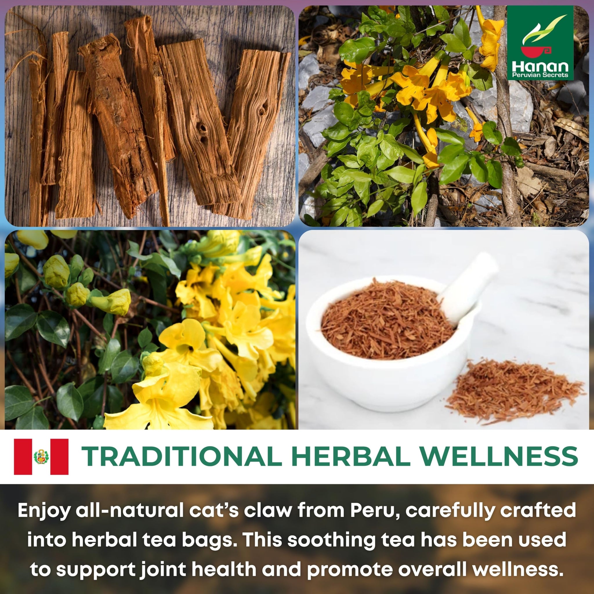 Hanan Cat’s Claw Tea Uña de Gato 25 Herbal Teabags - Wild Una de Gato Tree Bark Herb From Peru’s Amazon Lush of Peru