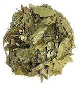 Matico Tea Herbal - Hierba Matico Value Pack (90g) Piper aduncum Herb 100% Natural Caffeine Free Tea