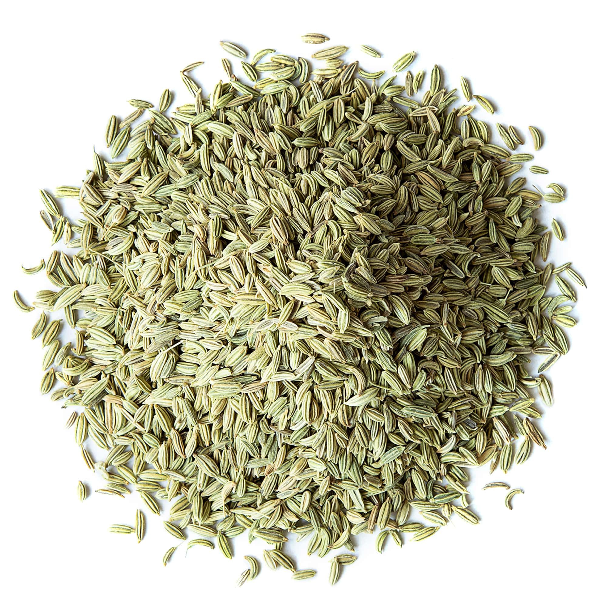Food to Live - Organic Fennel Seeds, 14 Pounds - Whole Raw Seeds, Non-GMO Spice, Non-Irradiated, Kosher, Vegan, Bulk. High in Dietary Fiber. Great