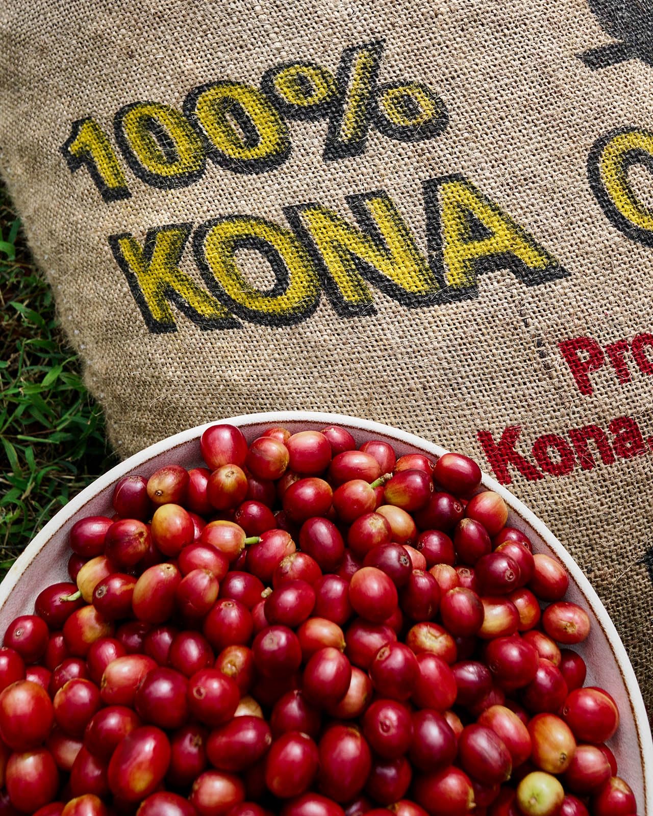 Sunrise Blend - Ainanani Kona Coffee, Single Estate, Organically Grown, Light-Medium Roast, Ground 100% Kona Coffee, 10 Ounce (Pack of 1)