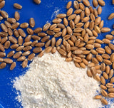 Early Morning Harvest Organic General Purpose Flour - Made from Non-GMO Whole Wheat - Stone Ground All Purpose Flour for Baking and Cooking, Whole