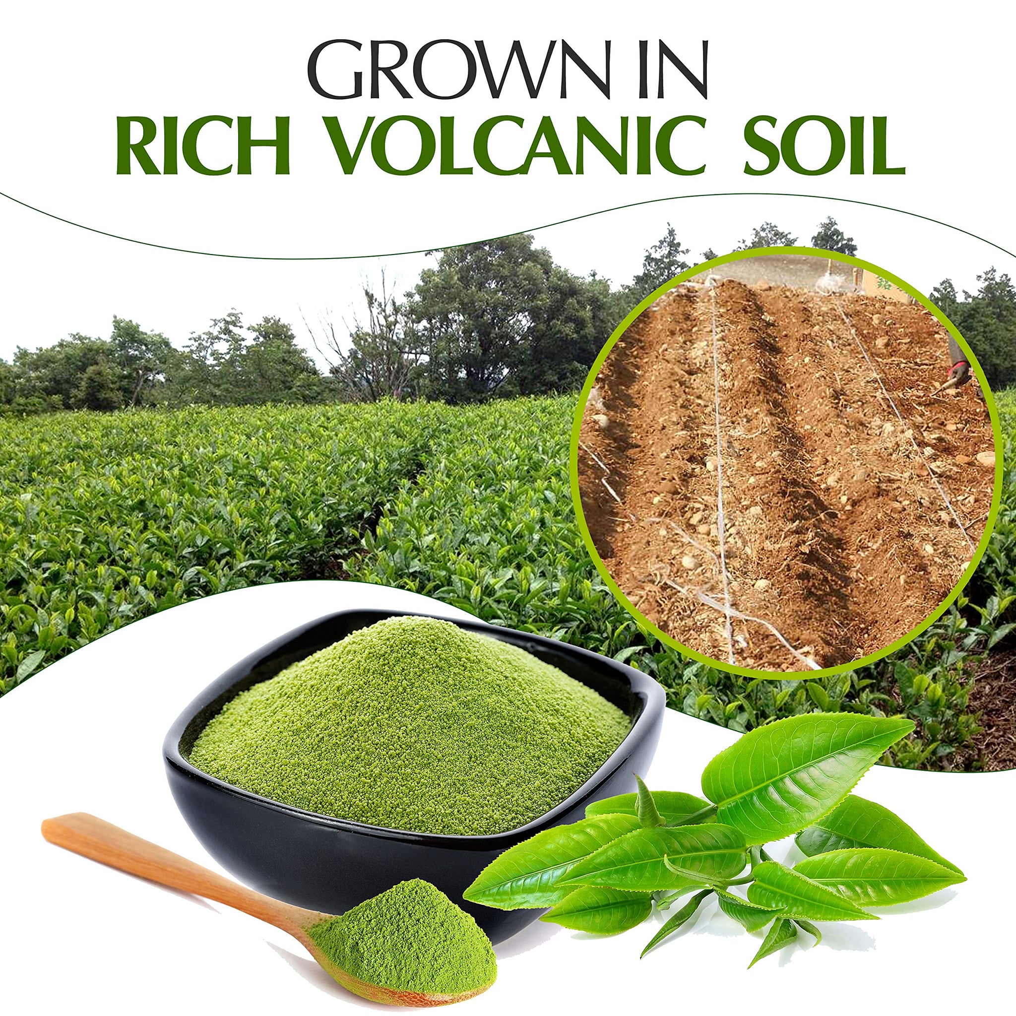 Japanese Green Tea Co. Kagoshima Matcha Powder (30 g) - Japanese Ceremonial Grade Matcha Powder - Smooth Green Tea for Easy Brewing - Subtle Sweetness