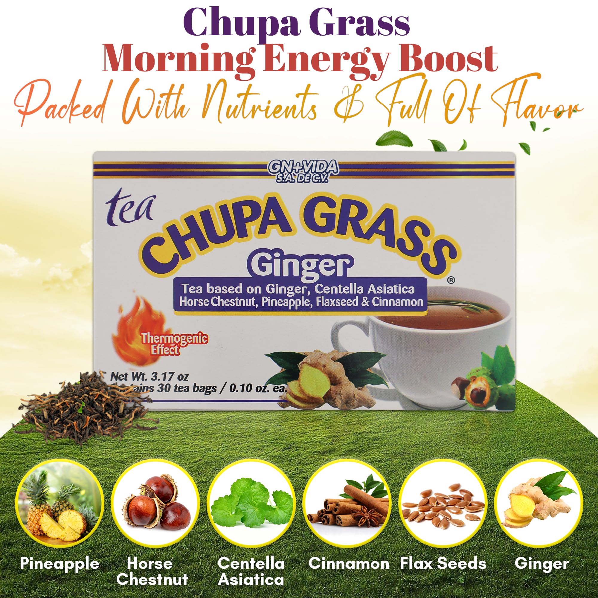 New Improved Formula Tea CHUPA Grass - Tea Based Ginger, Gotu Kola & Cinammon & Te CHUPA Panza Jengibre (30 Tea Bags/0.10 oz Each)