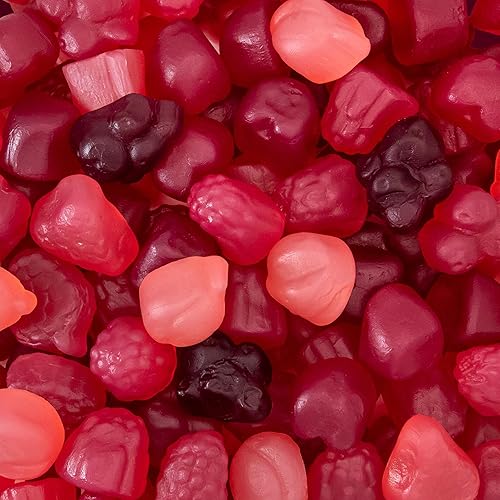 Berry Jelly Candy Mix 1 Pound Bag | Vegan Gummies with Real Fruit Puree | Assorted Berry Flavors | Gelatin Free Plant Based Texture | No Artificial