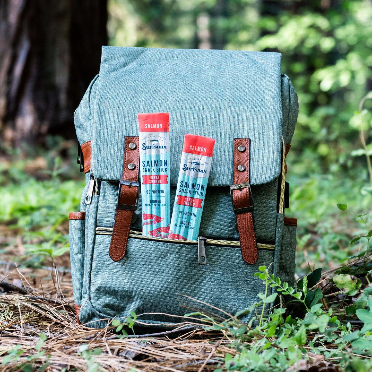 Surfsnax Salmon Jerky Snack Sticks - Sustainably Farmed Beechwood Smoked Salmon Jerky Snacks - High in Protein, Omega-3's, Keto, Paleo, Whole30, 10