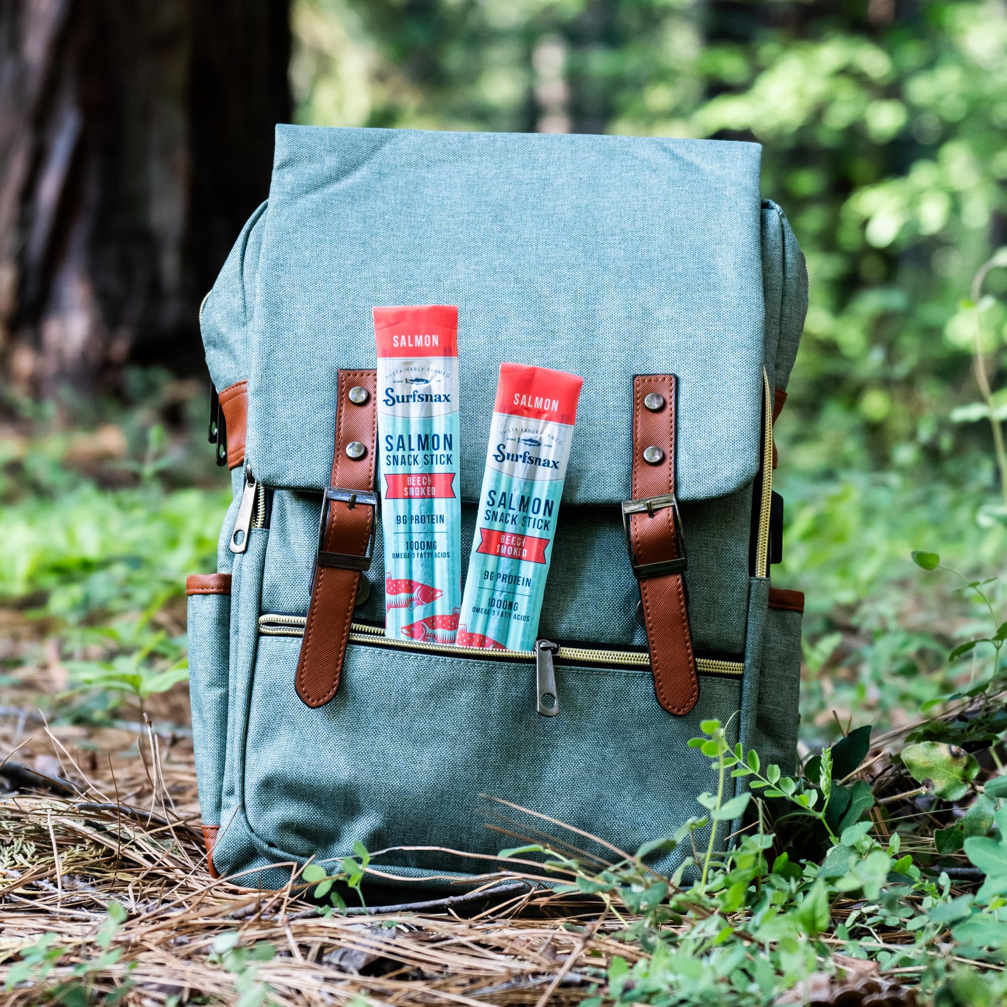 Surfsnax Salmon Jerky Snack Sticks - Sustainably Farmed Beechwood Smoked Salmon Jerky Snacks - High in Protein, Omega-3's, Keto, Paleo, Whole30, 10