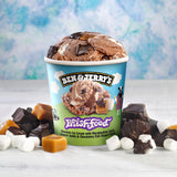 Ben & Jerry's Phish Food Chocolate Ice Cream 16 oz