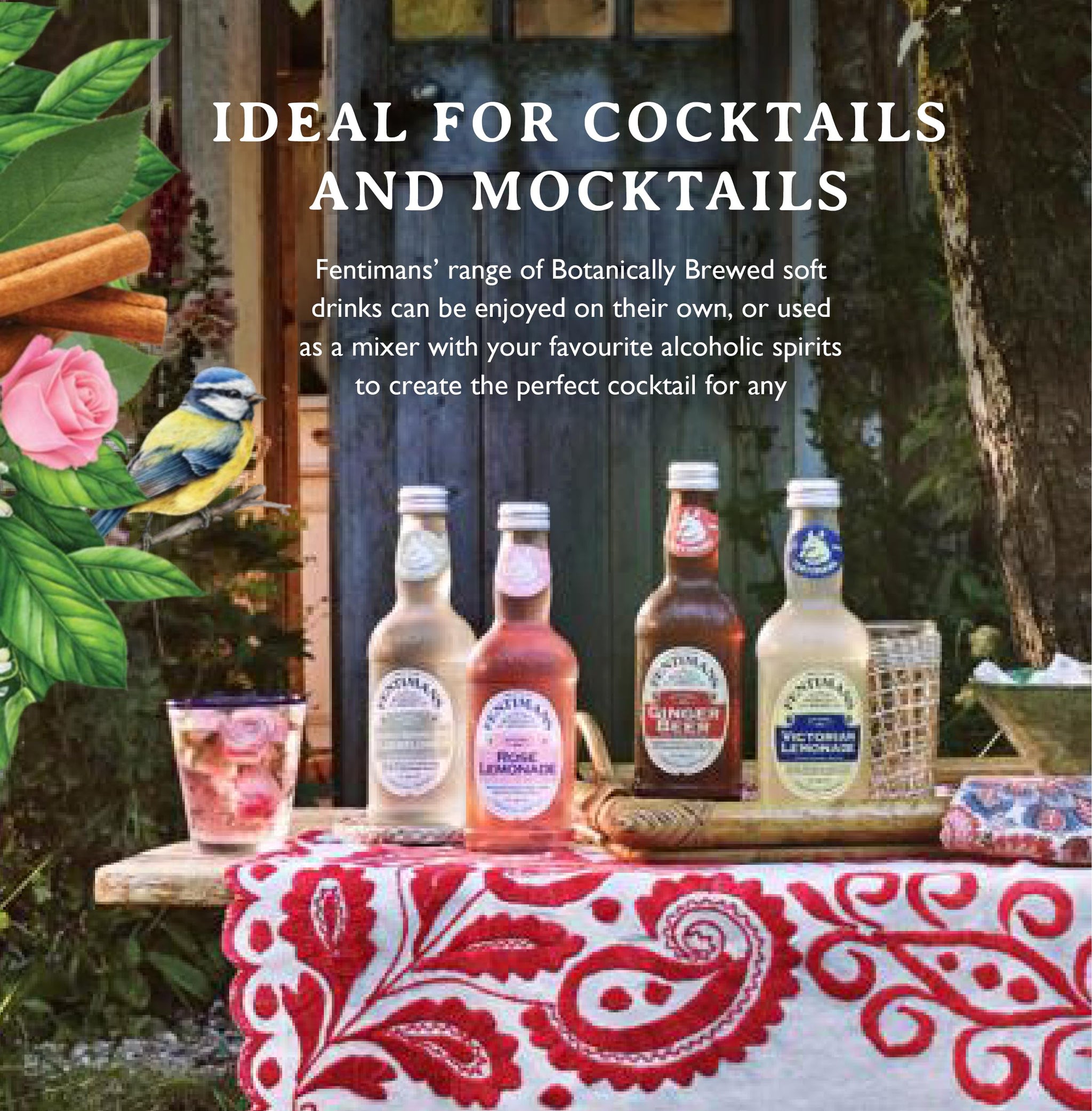 Fentimans Sparkling Curiosity Cola - Healthy Soda, All Natural Soda, Craft Soda with No Artificial Flavors, Preservatives, or Sweeteners, Botanically