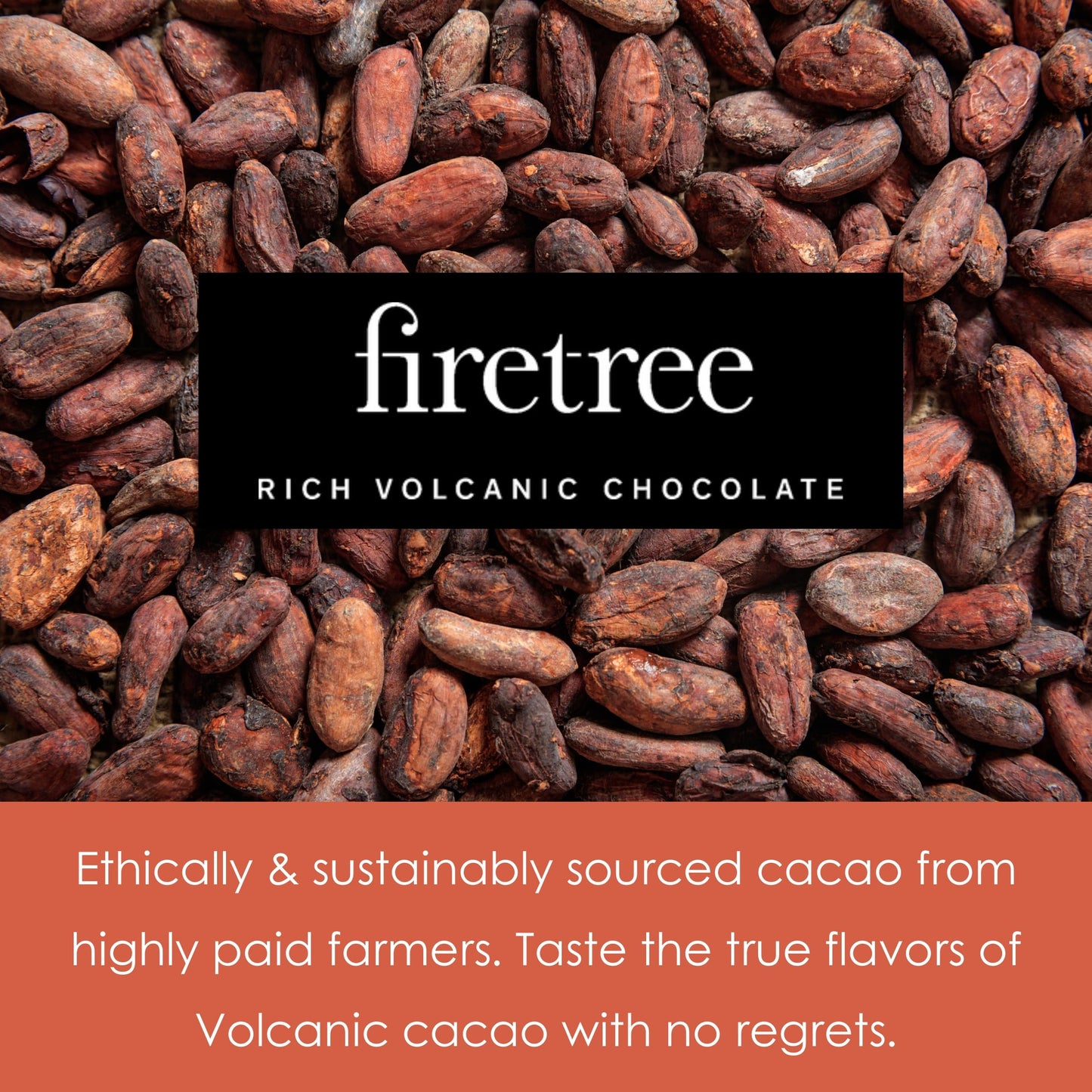 Firetree Solomon Island Guadalcanal 100% Dark Chocolate 3 Pack - UK Chocolate - Premium, Craft, Artisanal, Direct-Trade, Single-Origin, Bean-to-bar