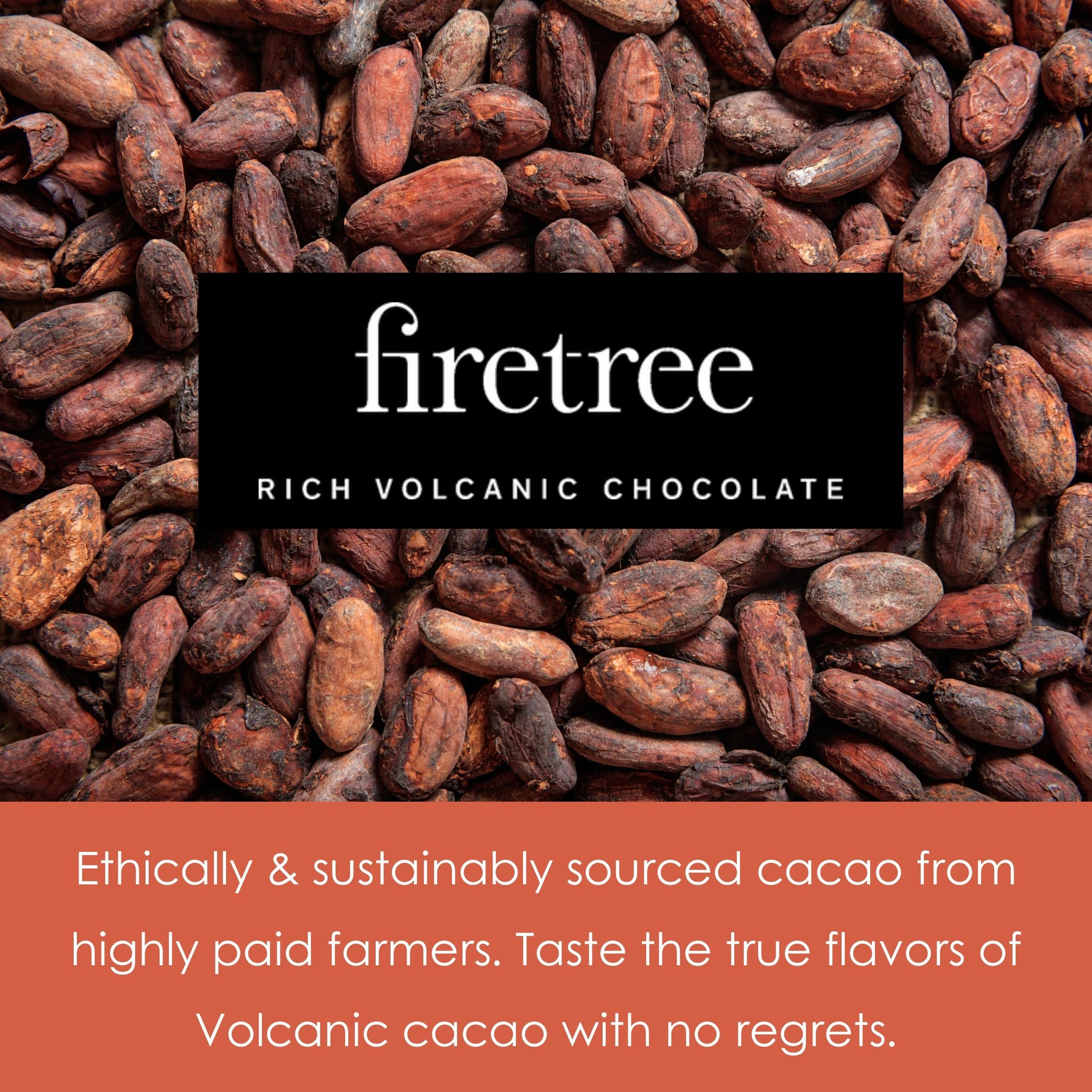 Firetree Solomon Island Guadalcanal 100% Dark Chocolate 3 Pack - UK Chocolate - Premium, Craft, Artisanal, Direct-Trade, Single-Origin, Bean-to-bar