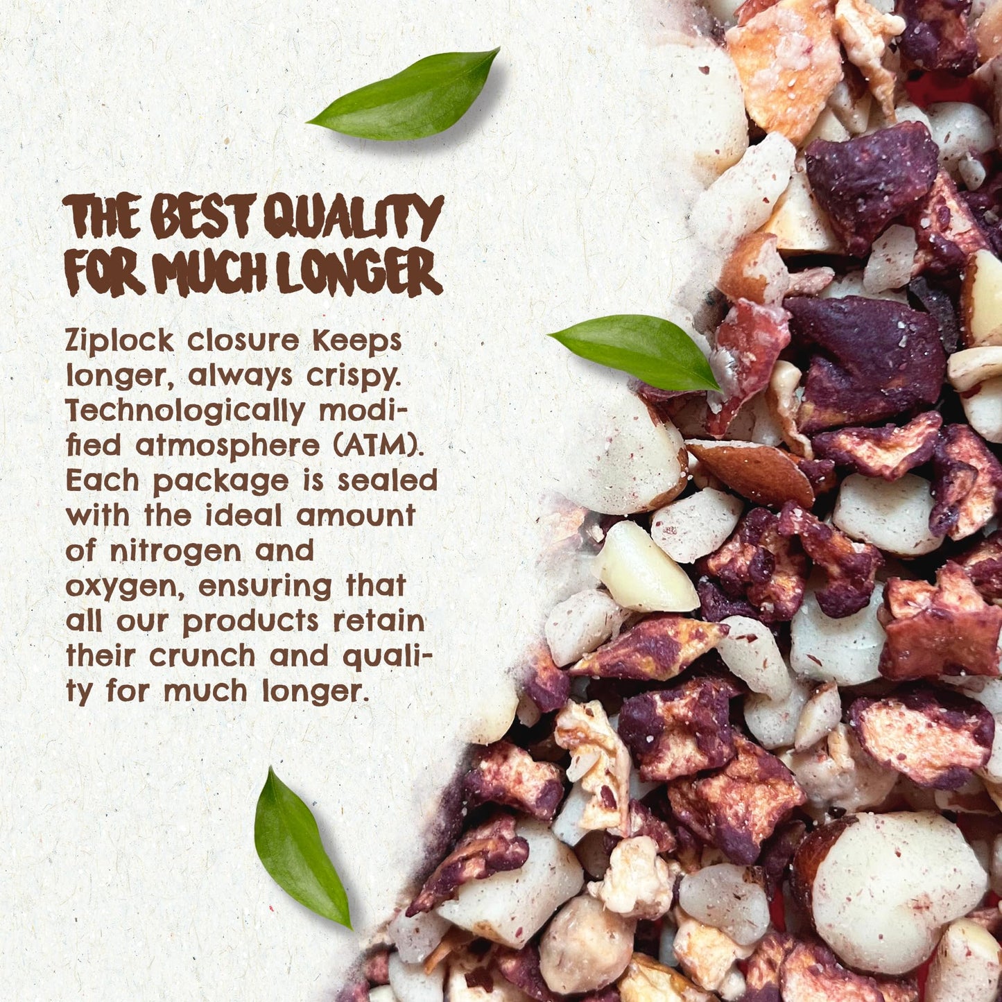 FOREST UP Snack Açaí Trail Mix 7 oz - The True Organic Brazil Nuts Roasted + Açaí Fruit Nibs + Cupuaçu Fruit Nibs - Nutrient-Rich and Practical Combo