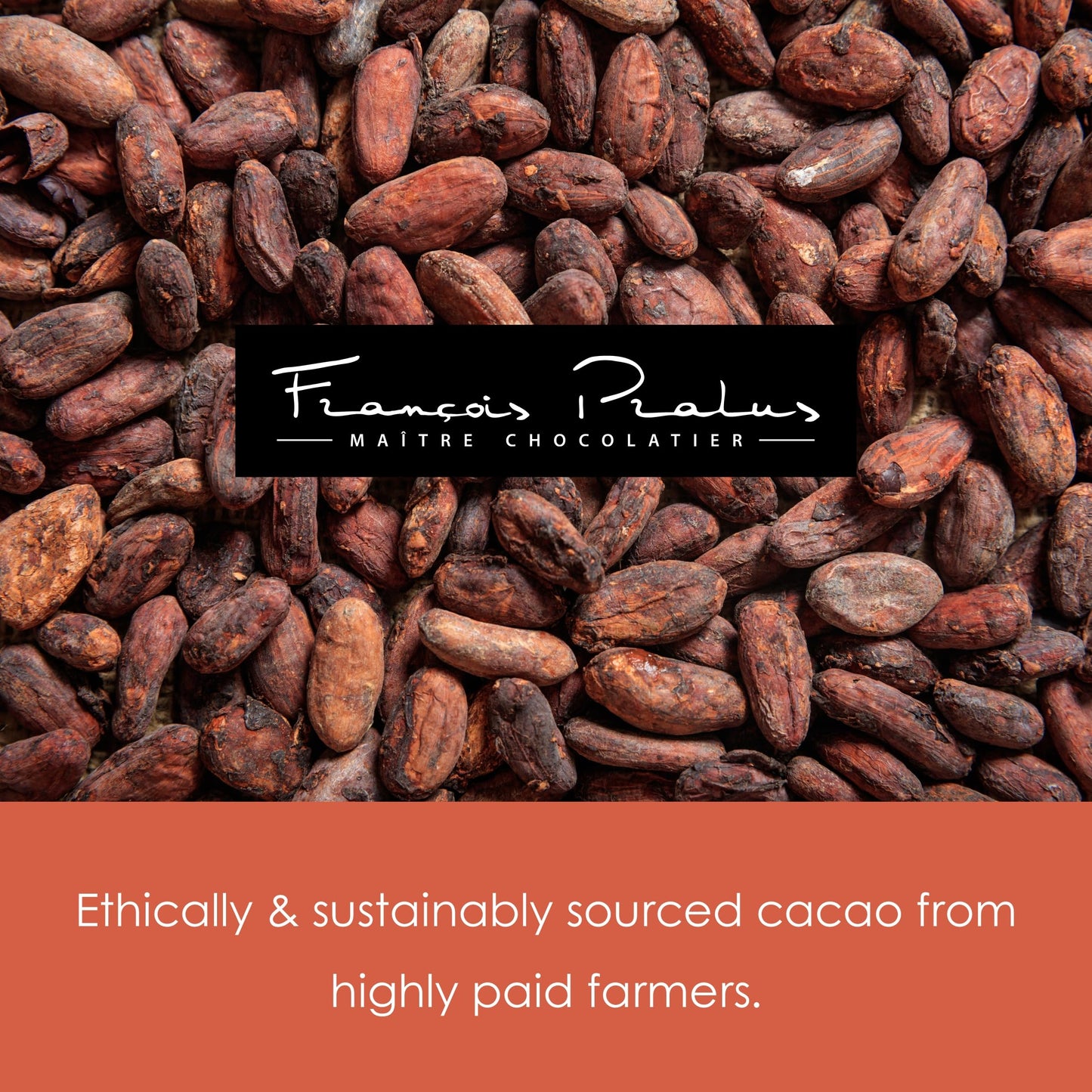 François Pralus Ghana 75% Dark Chocolate 3 Pack - French Chocolate - Bean-to-Bar, Direct Trade - Vegan, Soy-Free - Bundle