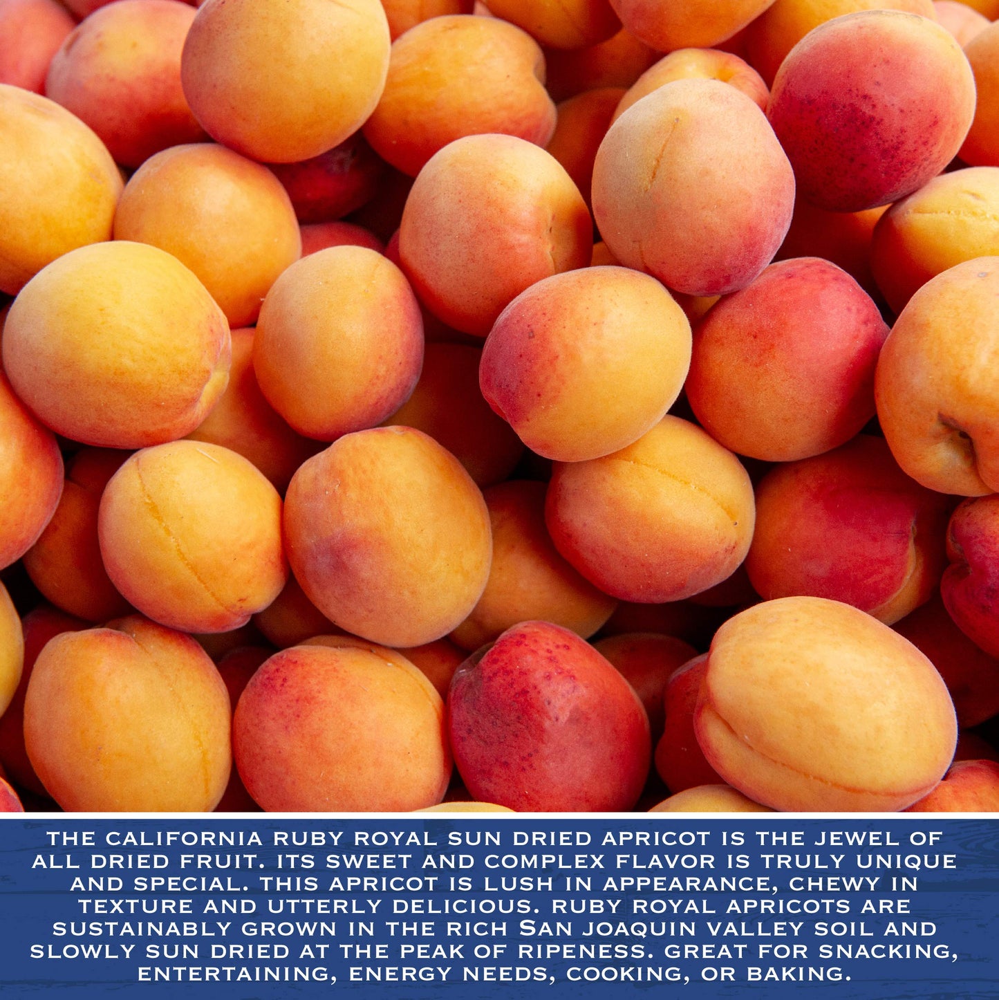 Traina Home Grown California Sun Dried Ruby Royal Apricots - Healthy, No Sugar Added, Non GMO, Gluten Free, Kosher Certified, Vegan, Value Size (20