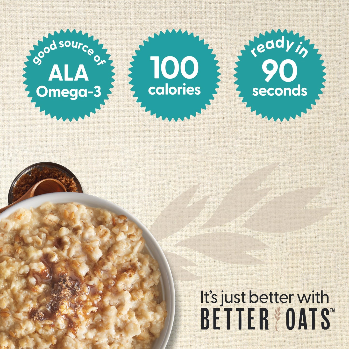 Better Oats 100 Calorie Apples and Cinnamon Oatmeal, 9.8 oz Box (Pack of 6)