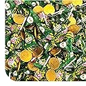 St Patrick's Day Candy Assortment - 3 Pound Bulk Pack - Milk Chocolate Gold Coins, Sour Apple Popping Rocks and Gum Filled Lollipops - Individually