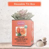 Brew La La Organic Green Tea - Natural Ginger Peach Flavor - 50 Double Chambered Tea Bags - Low Caffeine - USDA Certified Organic - NonGMO - Gluten