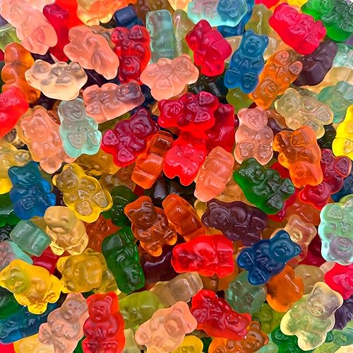 Gummi Bears | 1 Pound Bag | Gummy Candy Bulk | Assorted Fruit Flavors | Chewy Gummies for Candy Buffets, Gifting & Dessert Decorating | Classic Bears