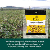 Eden Organic Pumpkin Seeds, Pocket Snacks, Dry Roasted, Lightly Salted, Hulled, Pepitas, 1 oz (24-Pack Case)