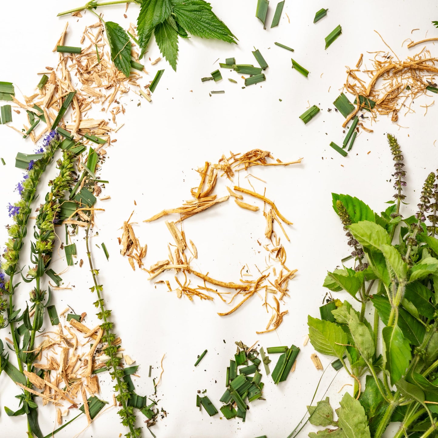 Tiger Herbal Tea | Sacred Blossom Farm | 1.9 oz. Loose Leaf | Energy and Focus* | Minimally Processed Wisconsin-Grown Herbal Tea & Medicinal Herbs |