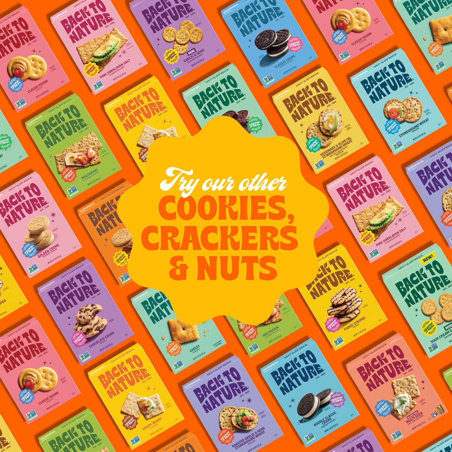 Back to Nature Cheezy Square Crackers, Non-GMO, Plant-Based Cheese Flavored Snack Cracker, Made with Wheat Flour, 5 oz Box