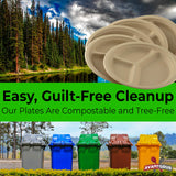 Restaurant-Grade Biodegradable 10 Inch 3-Compartment Plates Bulk 50 Pk. Great for Lunch and Dinner Parties. Disposable Compostable Wheatstraw Divided