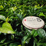 Jinglong Tea Factory - Puerh Tea No5 (80 Cups) Ripe Pu-erh Tea Mini Cake (7.1 Ounce)