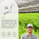 Senbird Premium Ceremonial Matcha - Japanese Powdered Green Tea - From Kyoto, Japan - Tea Powder in Airtight Tin (1.06oz/30g)