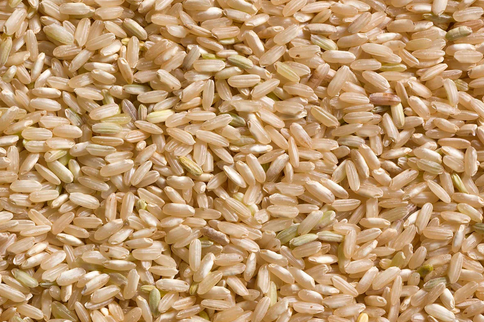 ORGANIC RICE LONG GRAIN BROWN- 22lb