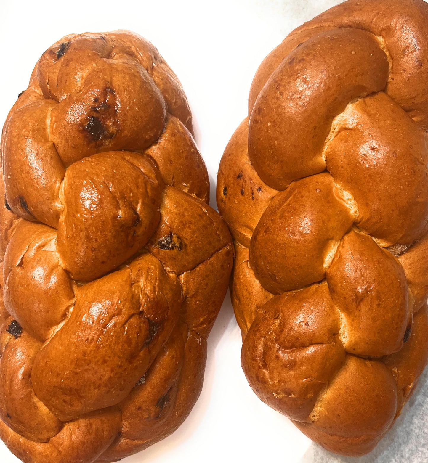 ChallahGram Gifts Kosher Fresh Raisin Challah Bread 16 Ounce - Traditional Raisin Bread for your Holiday or Shabbat Table (2 Braided Raisin Challah