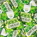 Green Apple Gummi Bears | 12 Packs of Sour Gummies | Dye Free Candy | Chewy Candy for Party Favors, Goodie Bags, Snacking and Gifting | Gelatin Free