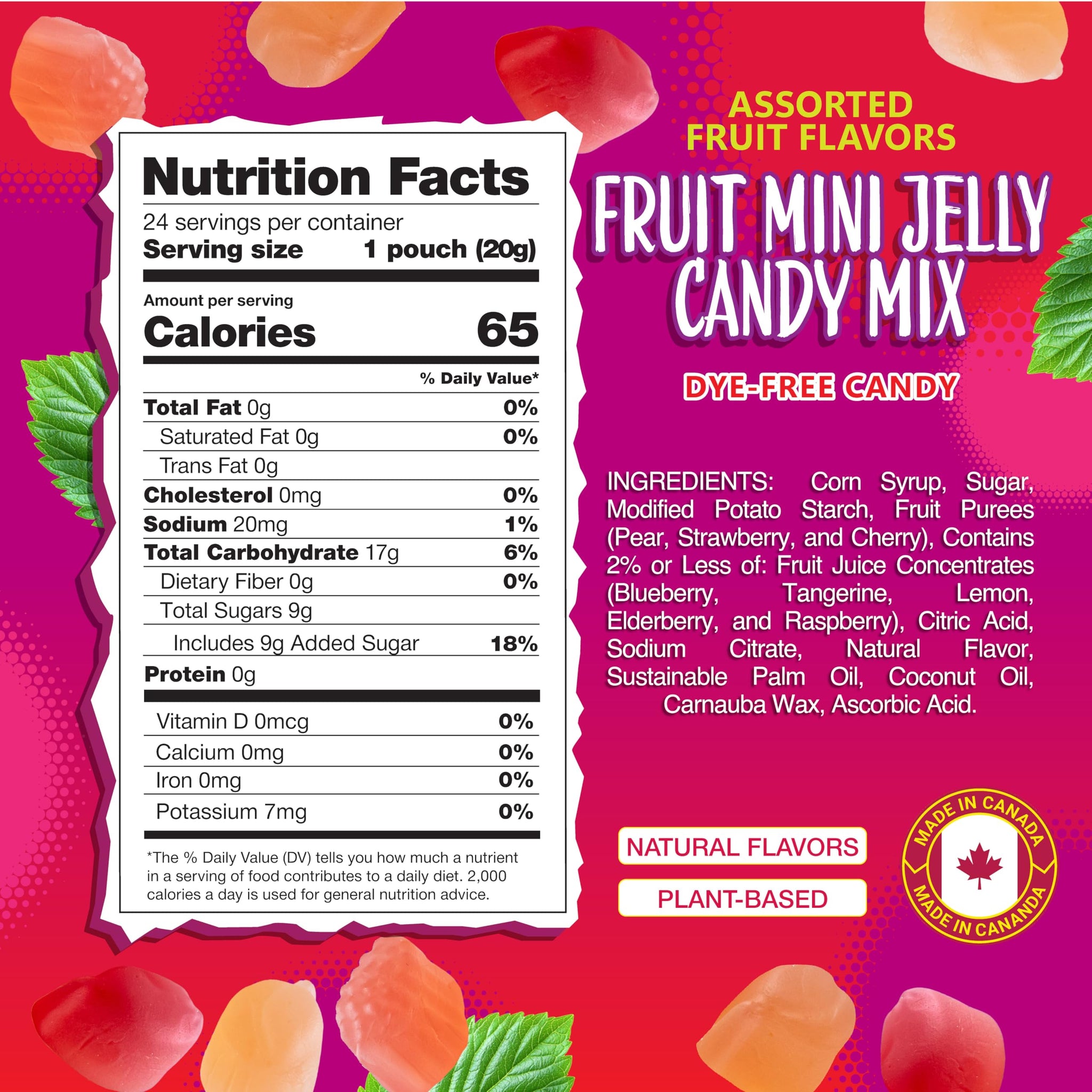 Fruit Jelly Candy | 24 Packs | Dye Free Candy Individually Wrapped | Vegan Gummies with Real Fruit Puree | Assorted Flavors | Gelatin Free Plant Based