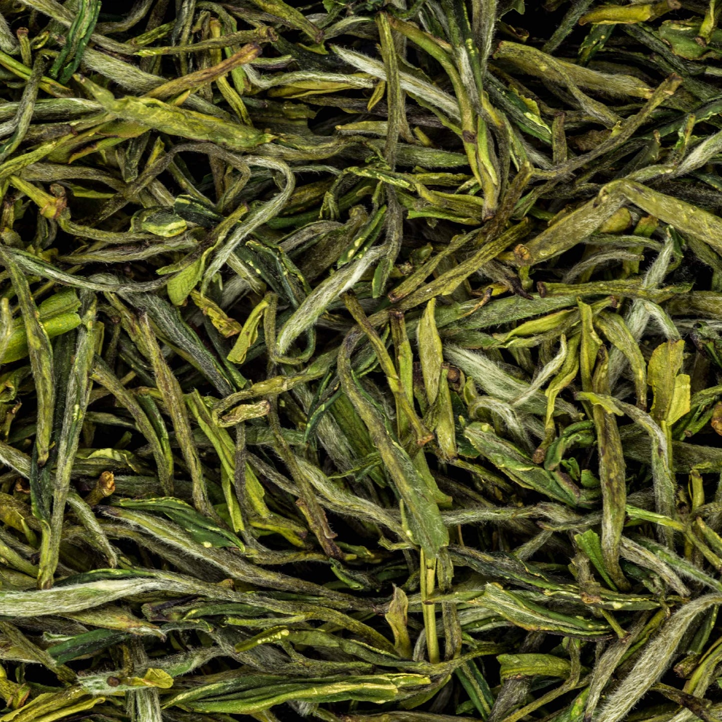 Teamotea Yellow mountain's fur peak - Huang Shang Mao Feng - 100 gram (3.53 oz)