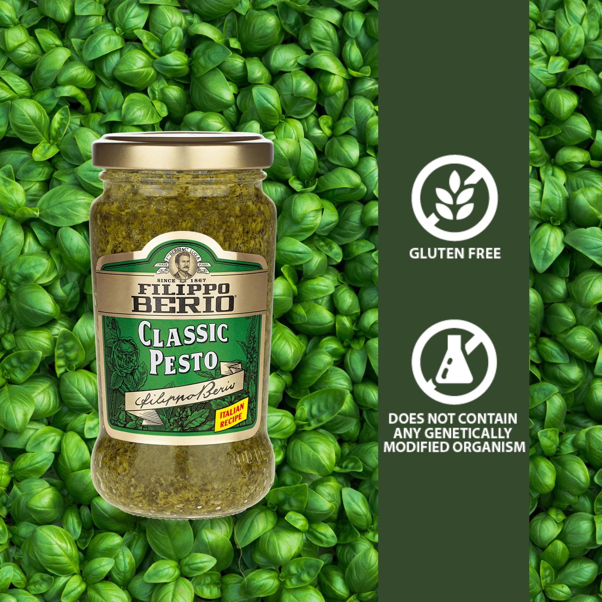 Filippo Berio Pesto, Classic Basil, 6.7 Ounce Glass Jar, Gluten Free, Non-GMO