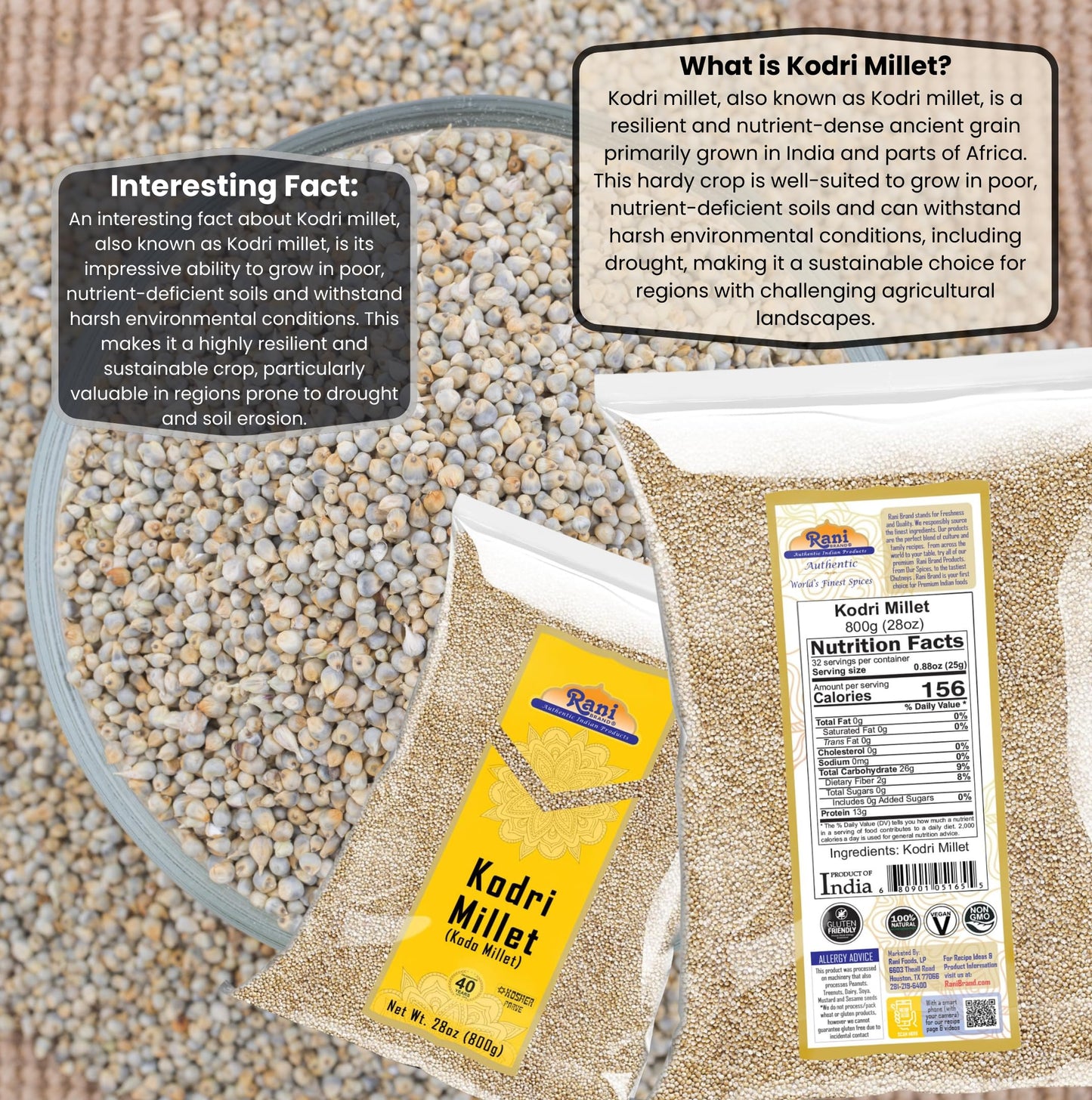 Rani Kodri (Polished Kodo Millet Seeds) Ancient Grains 800g (28oz) ~ All Natural | Gluten Friendly | NON-GMO | Kosher | Vegan | Indian Origin (Varagu/Kodra/Harka)
