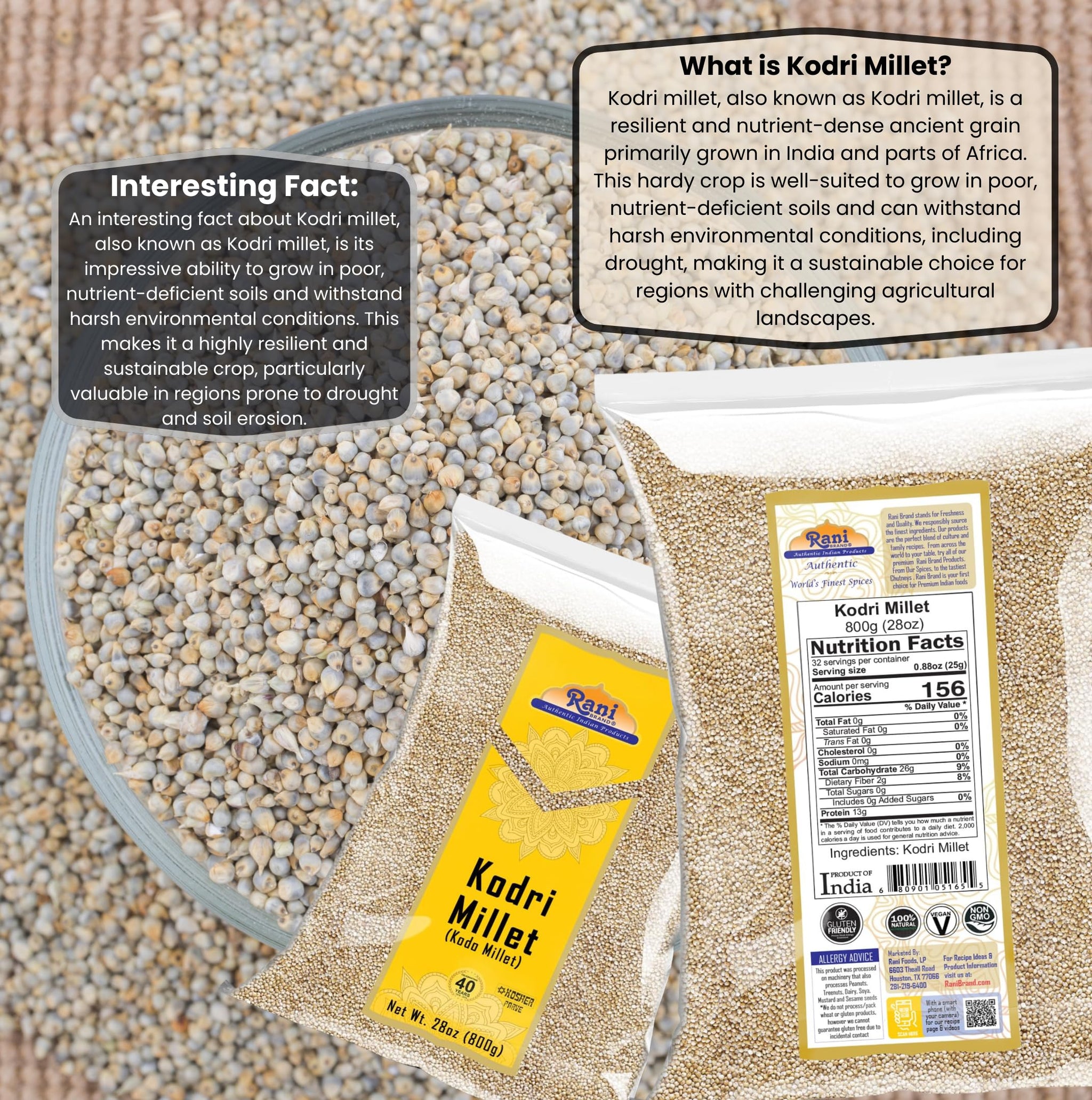 Rani Kodri (Polished Kodo Millet Seeds) Ancient Grains 800g (28oz) ~ All Natural | Gluten Friendly | NON-GMO | Kosher | Vegan | Indian Origin (Varagu/Kodra/Harka)