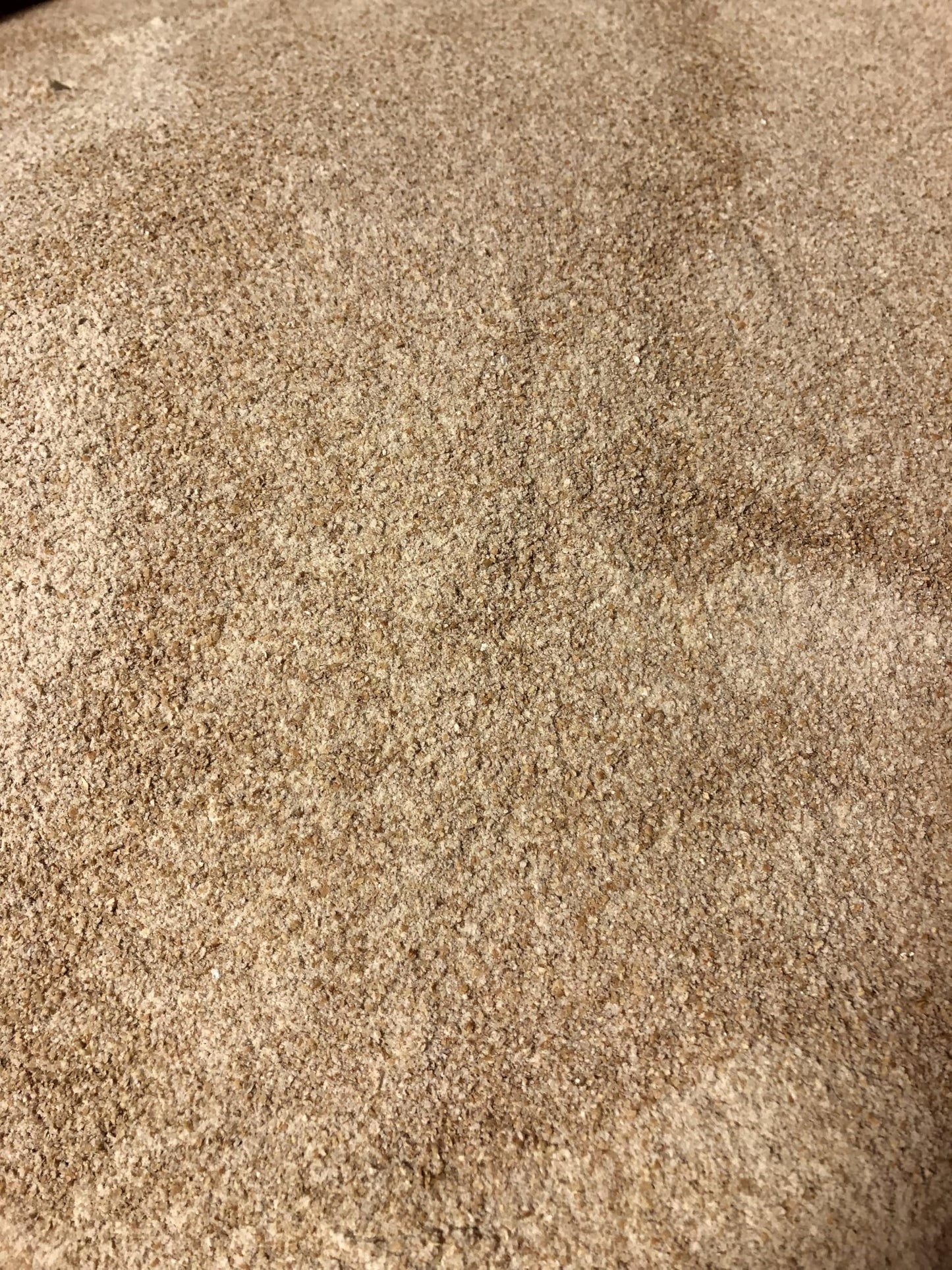Early Morning Harvest Organic Whole Wheat Pastry Flour - Made from Non-GMO Whole Wheat - Stone Ground Pastry Flour for Baking and Cooking, Whole