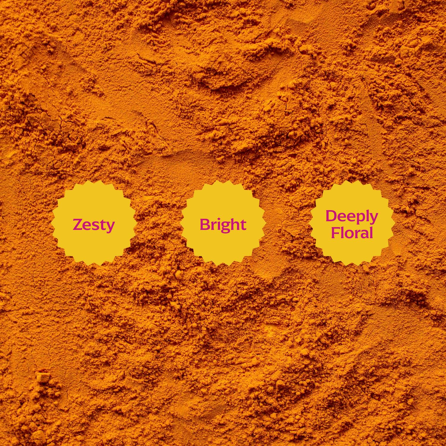 Diaspora Spice Co. Pragati Turmeric Powder - Single-Origin Heirloom Turmeric from India, High Curcumin (5.2%), Fresh Harvest Spice for Cooking, Golden