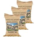 Palouse Brand Certified Glyphosate Residue Free Hard Red Spring Wheat Berries | 15 LBS | Family Farmed in Washington State | Sproutable | Non-GMO