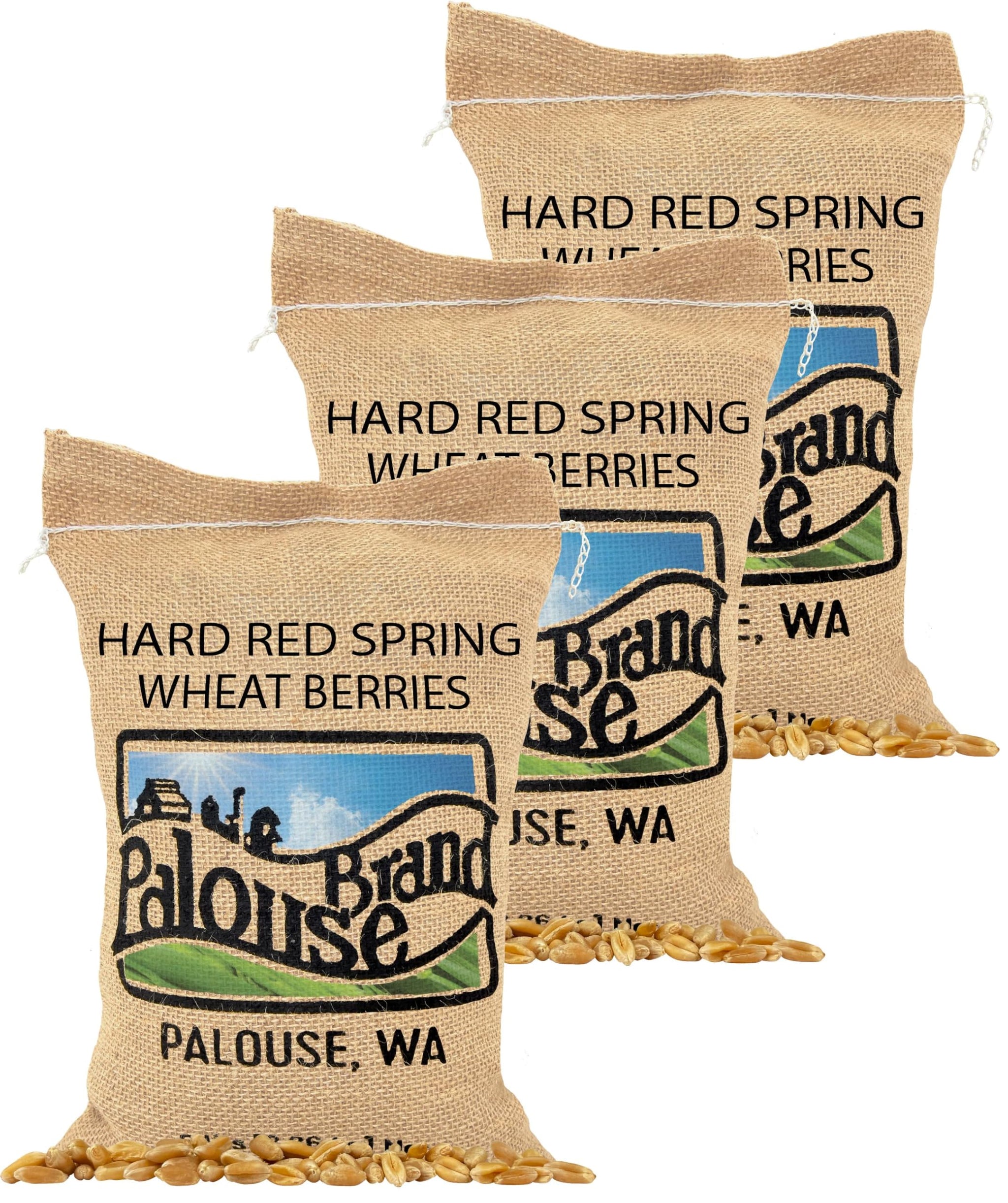 Palouse Brand Certified Glyphosate Residue Free Hard Red Spring Wheat Berries | 15 LBS | Family Farmed in Washington State | Sproutable | Non-GMO