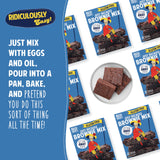 The Matzo Project Just Because Fudge Brownie Mix, 12oz Box (2 Pack) Gluten-Free, Kosher for Passover, Rich and Fudgy, Easy to Bake, Just Add Eggs and Oil, One Bowl