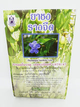 Blue Trumpet Vine (Thunbergia laurifolia) Tea Bags x 20 - Traditional Thai Herbal Tea for Health