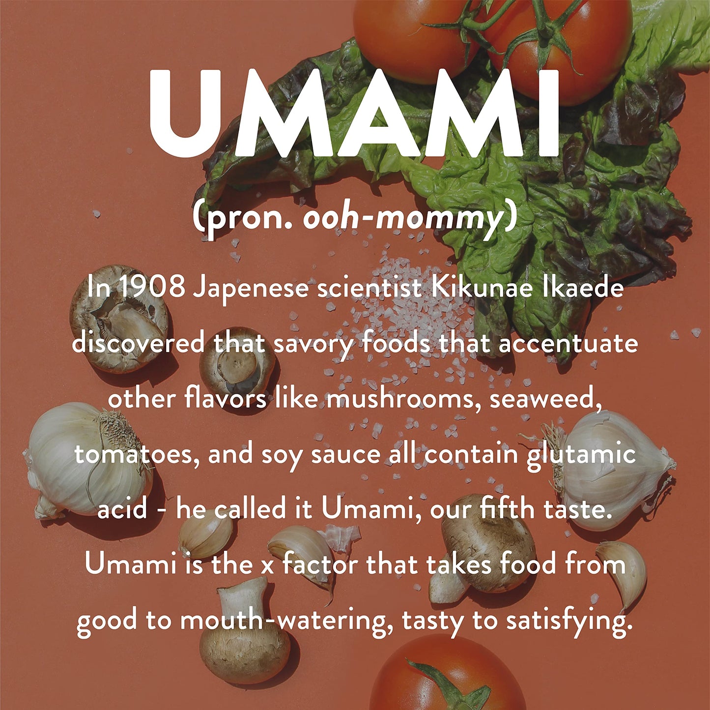 Seed Ranch Umami Everyday Hot Sauce, 5 Fl. oz. - Mild Heat Flavor - Oven Dried Olives, Porcini Mushrooms & Capers - Vegan, Non-GMO, Gluten-Free